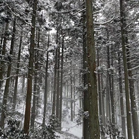 ��®ɽ� ���޺�ɽ�� | ̽���ﶬ®ɽѩ�� ��Ӱ���