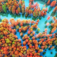 ɼ��ˮ�̣�̽��������ɽ��Ĳ�ɫɭ��