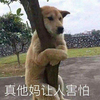 ۾ëСģǿǻᴫȾļ桭