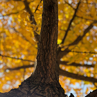 ��������������������