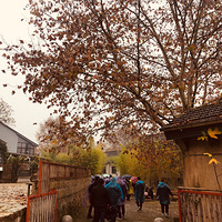 11��30�� Ī��ɽ���쬣������꣬��������� Լ��