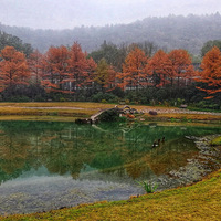 ��������ɫ