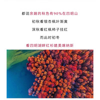 �����ӽ�|��12.7���㽭������˹����������ɼ�֣��������ѹŵ�