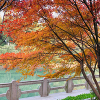 ����֮��