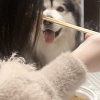 Ϊ˳ԣɶģ