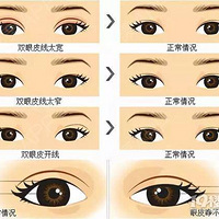 �۾�һ��һ˫���������Ƕ��ܽ����