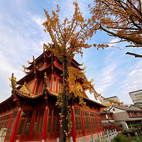 ŵ���������Բ����ˣ��ǳ�����