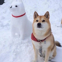 ֹֻбУϷ˸