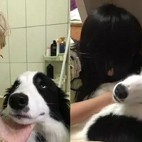ʿ渽壬ֱŲˣֲֻ
