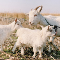 �ع���Ȼ��һ��