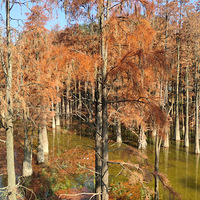 ������ٰ��ǣ�����ʤ��