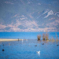 12.21-12.27�߲����� | �������������������ѩɽ����ɽ������