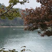 ��2020��4��4-6�ա��ຼ����������ͽ����ɼ��������������