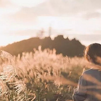 �����ڡ�12.14 �����������糱!�ͺ�����ʪ��«��,�й�ǧ�����