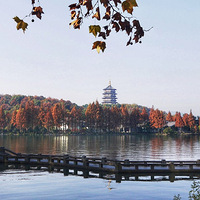 ���ų���