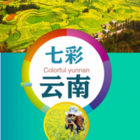 ���߲����ϡ�Ԫ����������ٲ������ߺڡ�����������8�������