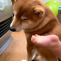 һ͸Сů¯ůǰ飡