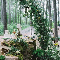 ���ɼ���40����������飬���ǵ��ּ�ɭϵ���񳬼��ɣ�