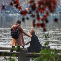 ˫ʮ�����糿