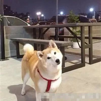 ʺٷŴУԼDIYרë