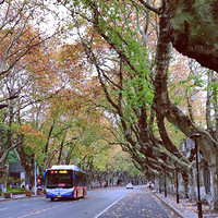 ������������Ӱ������������������ ��Ӱ���