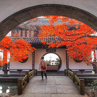 �߹�ƽ������