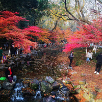 ��ĩ��Ϫ��