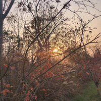 ����ĩ������ġ���ĩ�����ǳ��� �����������