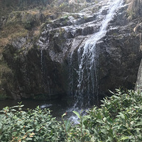 ����ĩ����ɽͽ����Ӱ����ĩ�����ǳ���  �Ǹ���Զ ������