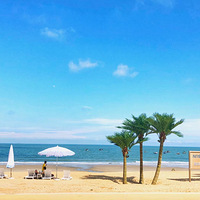 ���ܶ�ȥ���ţ�����ƴ����û��һ��ͬ�еģ�