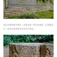 20192020.1.1ԪԽɽŵɽ