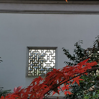 ����Ҳ����