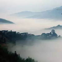 12.22 ��Խ��Դ��ľ��{ | ������ɽ�����ĸ�ɽ����