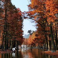 �����ˮɼҲ����