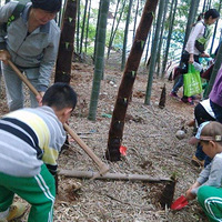 ����ſ�ۻ�