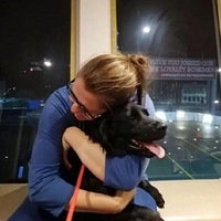 爱犬被偷后，小男孩花了6年时间寻找它，而奇迹真的出现了...
