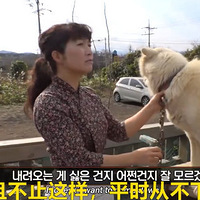狗哥哥为保护弟弟，在屋顶上风吹雨淋三年...