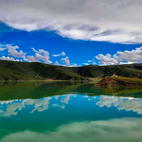 2020ȫ��ƻ� 318������ �������  ƴ������������