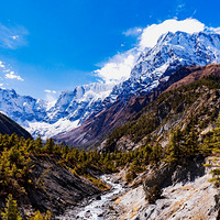 ���߰����ն��ɻ��ߣ�����ѩɽȺ�壨�Ჴ��ACTͽ��|��ͼ+���ԣ�