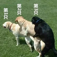 ֻһθ£ʵϴĵλ