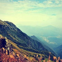 �����[��Ű·��]12.22���ճ�����Խ ����ƺ~�������ȫ��