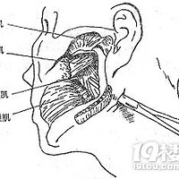 ����ʱ������-���Ƕ�����Ӱ���ж��