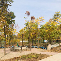 �人����Ա�����αر��򿨵��Ĵ���Ŀ|Ȥζ���ɳ����ջ���