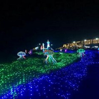 �λ����ι�Ӱ�����ھ�����Ϯ