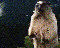 ��ĩ�ݱ�Фս��һ�����Ȼ��������17λ���⣬���ȷ�˭���ƣ�