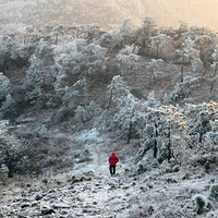 ����ĩ[�ƺ���ڡ]12.27������ڡ������ɽ��������ɽ(�ͱ�צ��