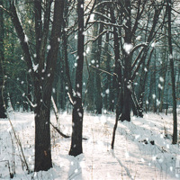 12.29�����գ� ������ѩ�塱�������ƺ��ѩ��ȫ�쳩������