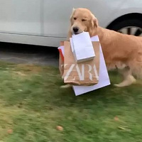 ůĽë˻ؼңȥæҰ
