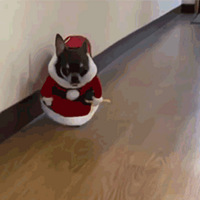 ʺռ | ˵ʥġ