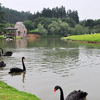 �Ž���ȥ���ﰲ�����ϰٲ�԰����